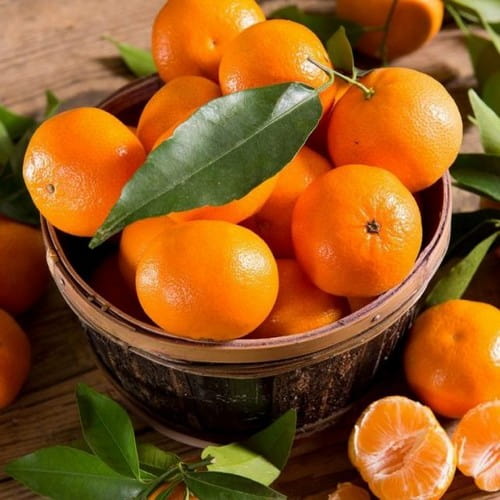 تصویر 4 از قیمت خرید نارنگی کینو + فروش ویژه